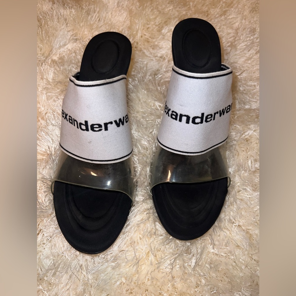 Alexander Wang heels